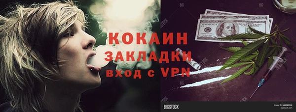 не бодяженный Алексин