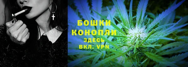 ГАЛЛЮЦИНОГЕННЫЕ ГРИБЫ Алзамай