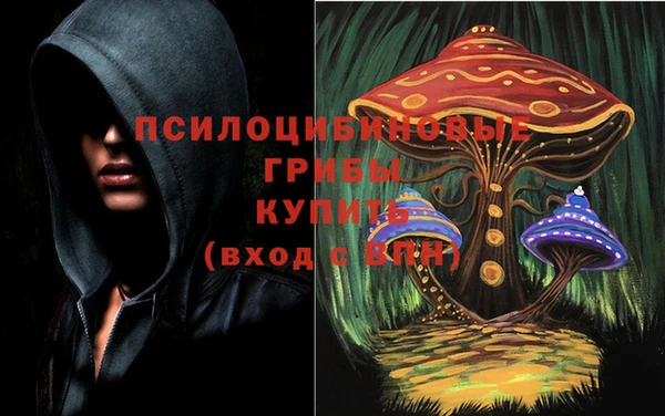 гидропоника Алексеевка