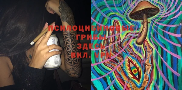ГАЛЛЮЦИНОГЕННЫЕ ГРИБЫ Алзамай