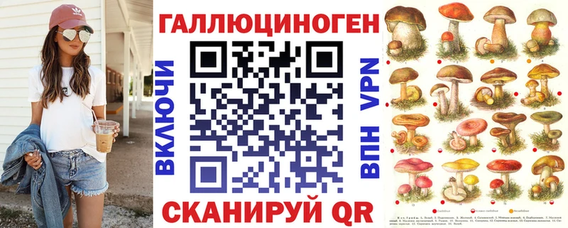 где купить наркотик  Кудрово  Псилоцибиновые грибы мухоморы 